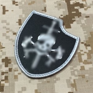 画像: MADE IN USA  実物 DEVGRU シルバーチームパッチ (1)