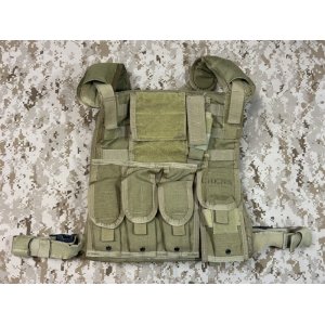 画像: EAGLE/ALLIED MLCS MBSS L/XL プレートキャリアポーチセット  MJK